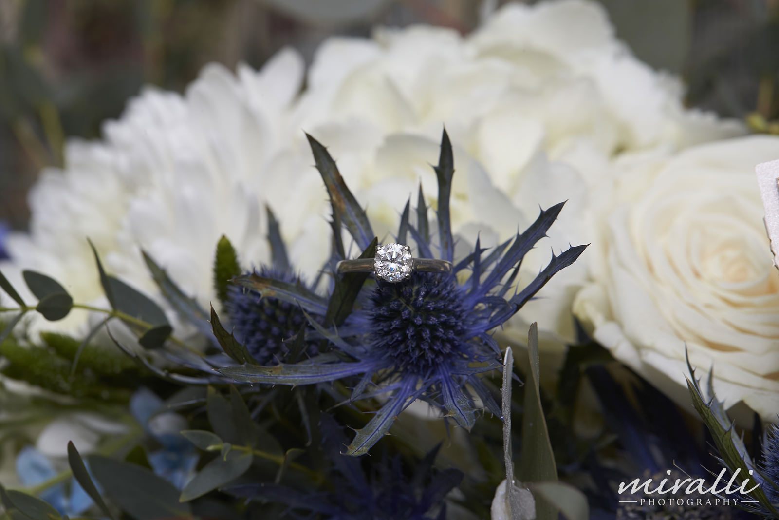 Larkfield Wedding Photos by Miralli Photography