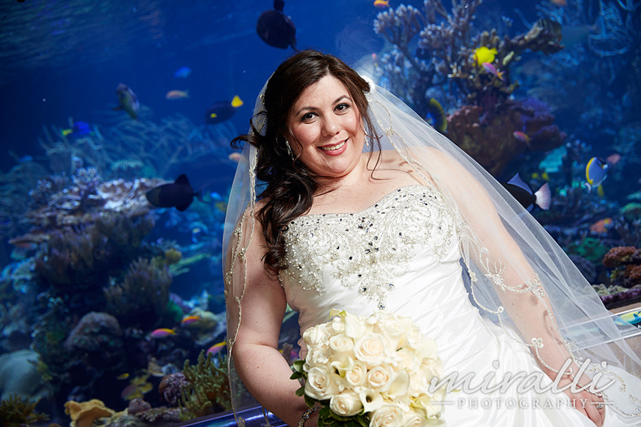 Atlantis Aquarium Wedding Photos by Miralli Photography
