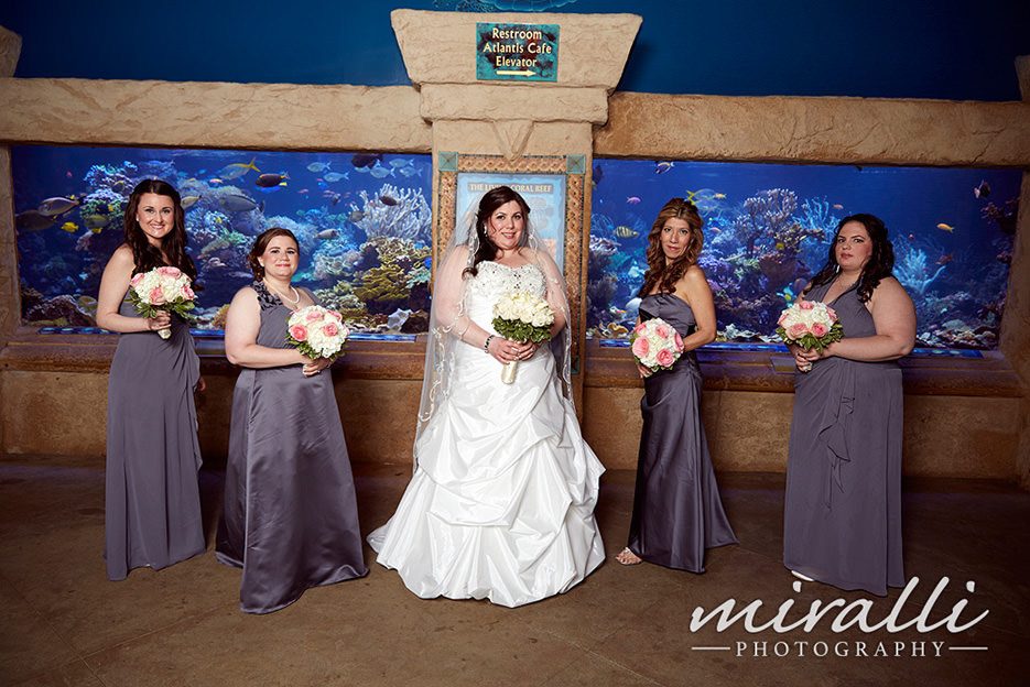 Atlantis Aquarium Wedding Photos Riverhead NY Miralli Photography