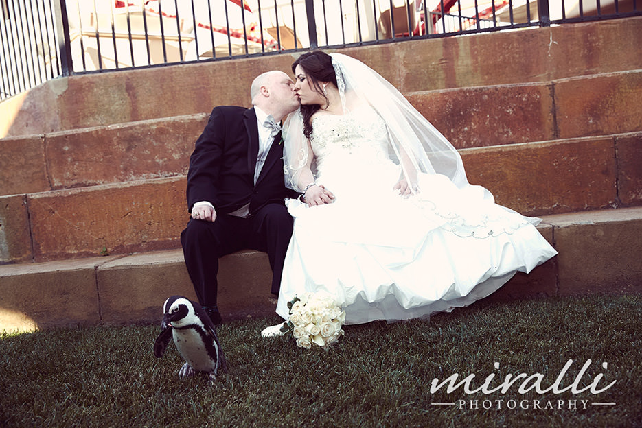 Affordable Wedding Photography Atlantis Aquarium Long Island